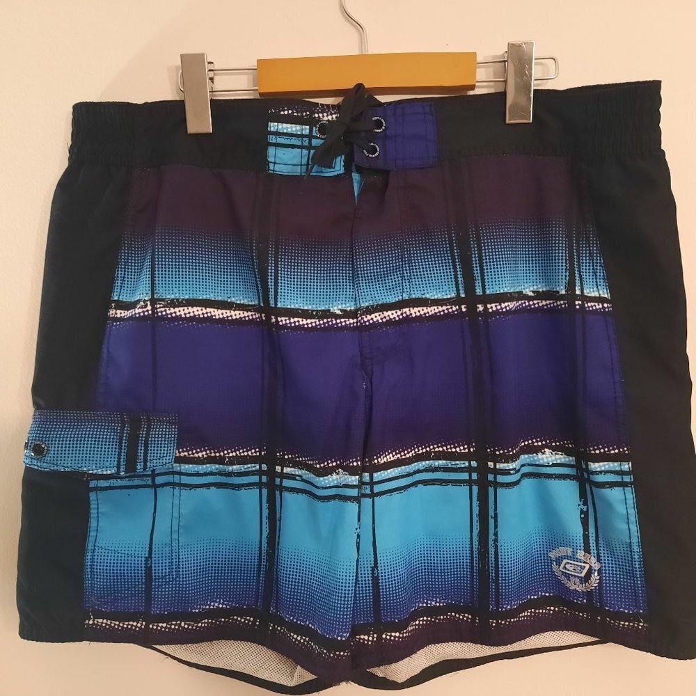 Point Zero mens swim shorts